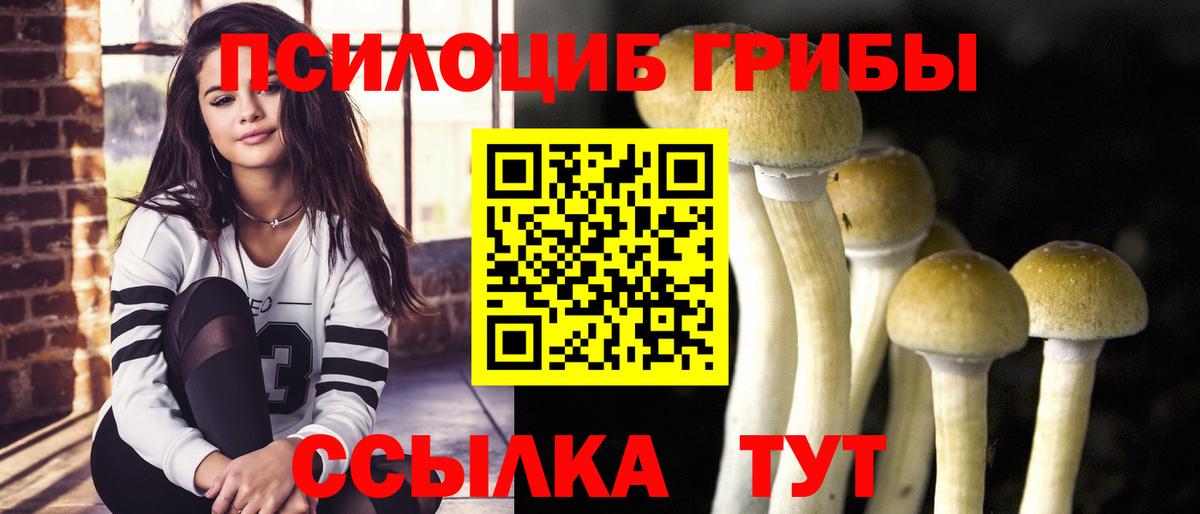 Орехово-Зуево  Псилоцибиновые грибы мухоморы  Вход с VPN 