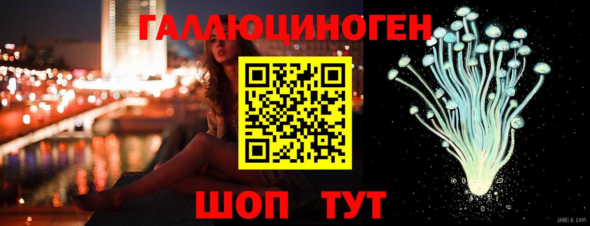 Псилоцибиновые грибы Psilocybe Орехово-Зуево